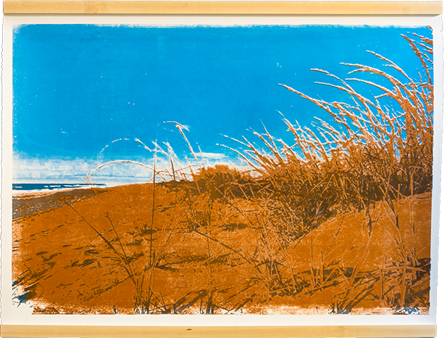 dunes print